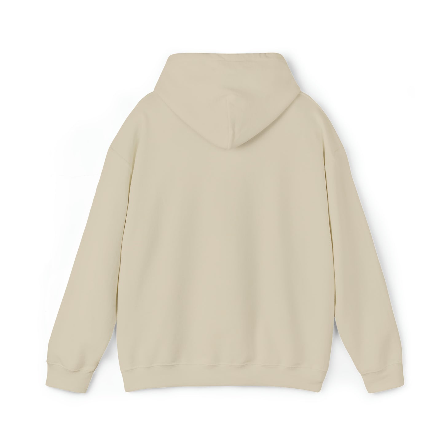 DM - King Jesus Hooded Sweatshirt