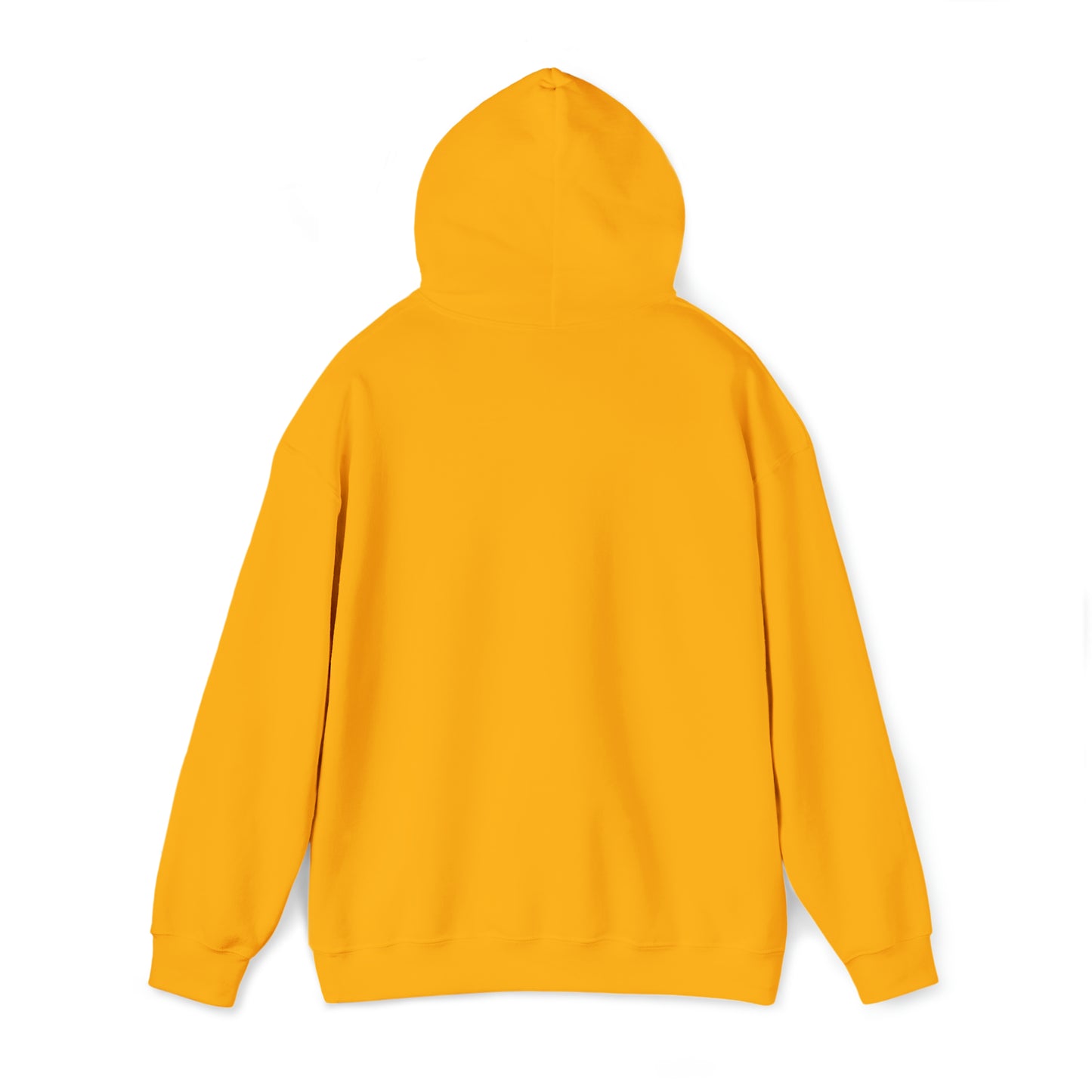 DM - King Jesus Hooded Sweatshirt