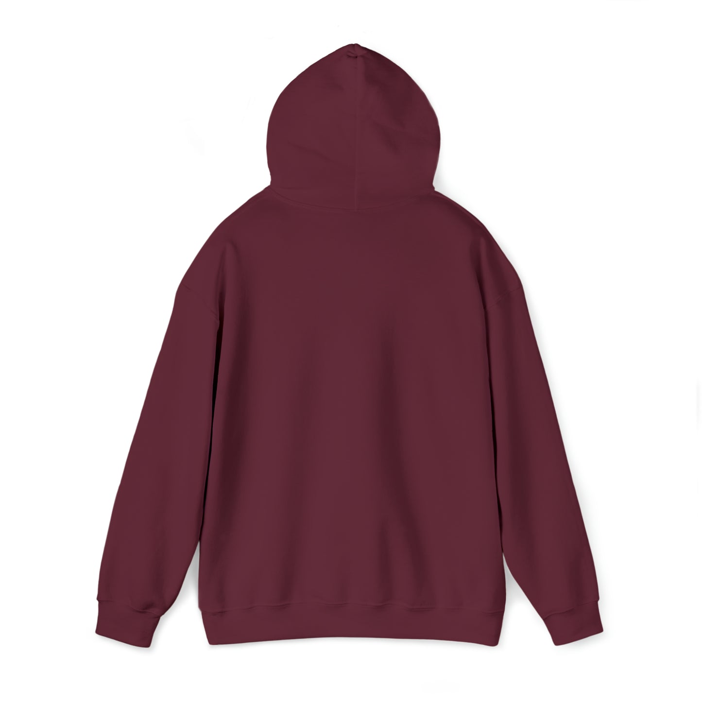 DM - King Jesus Hooded Sweatshirt