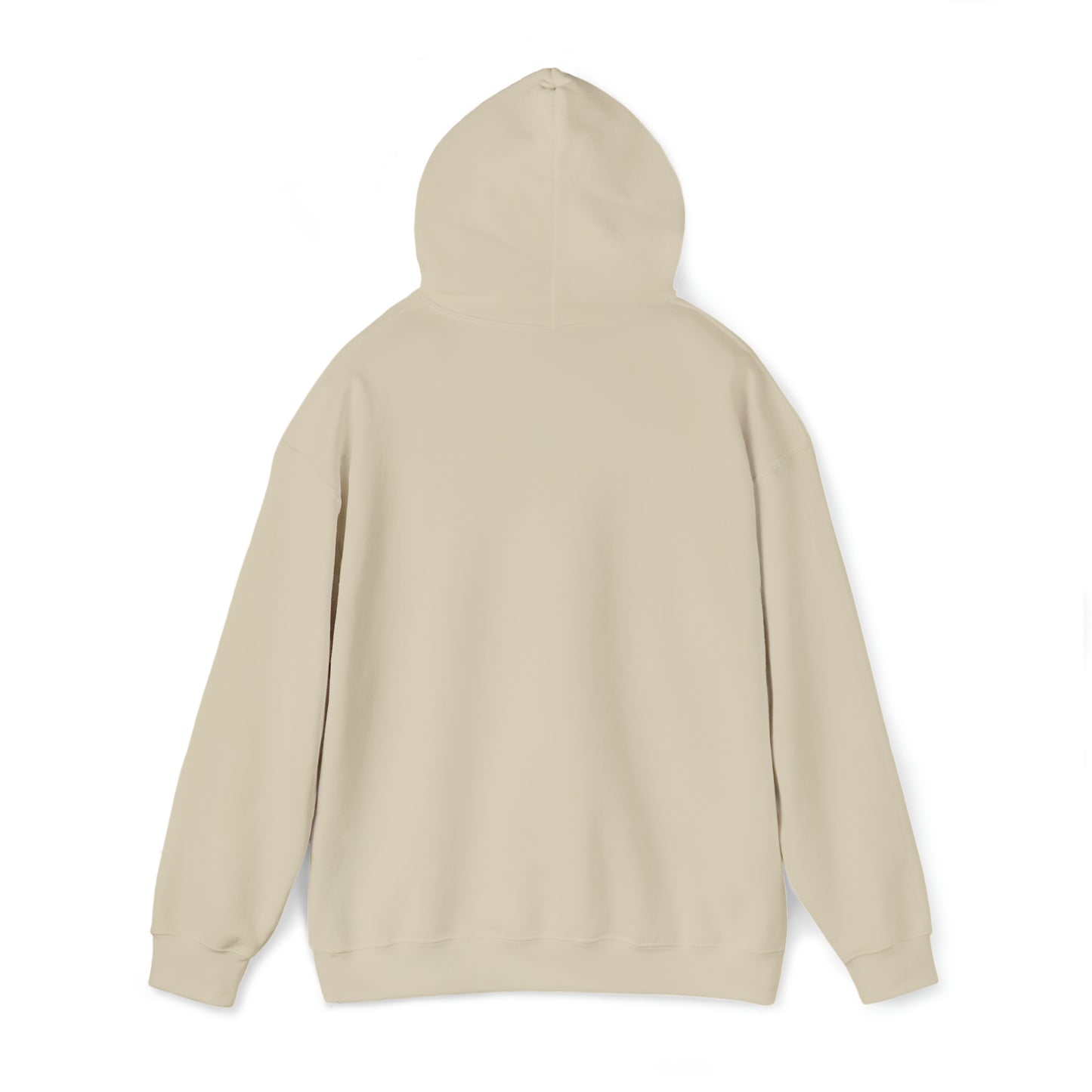 DM - King Jesus Hooded Sweatshirt