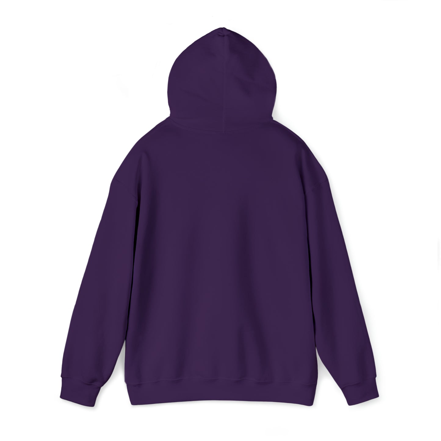 DM - King Jesus Hooded Sweatshirt