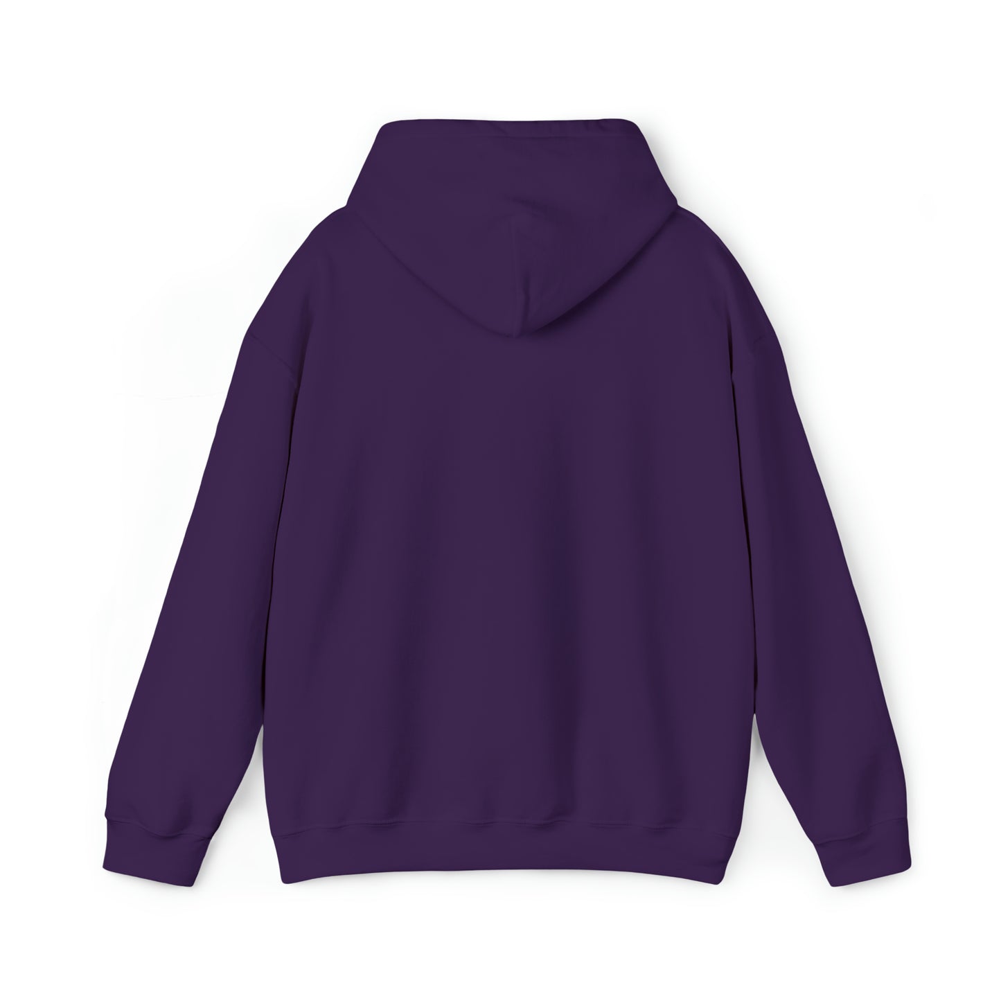 DM - King Jesus Hooded Sweatshirt