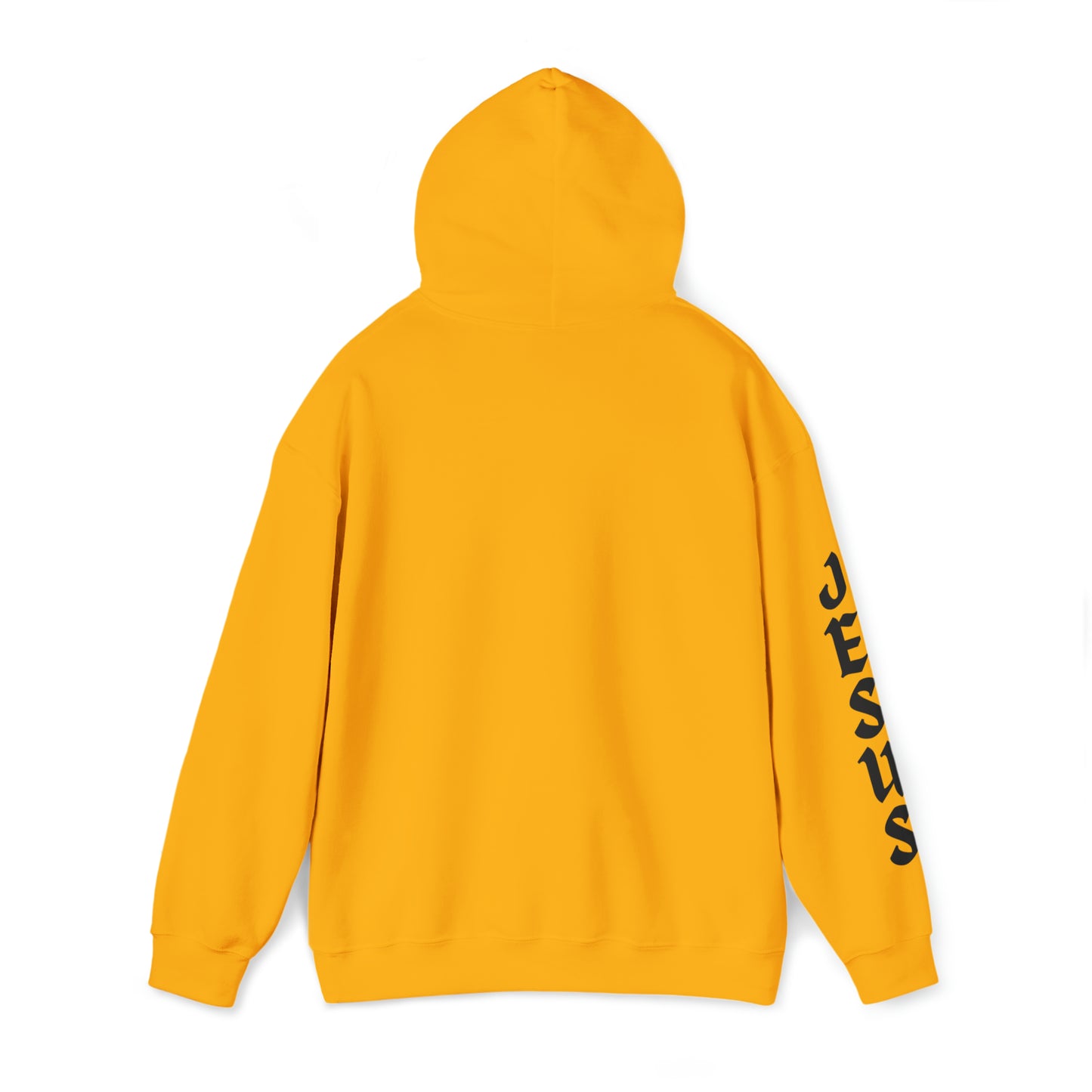 DM - Jesus Lives D2 Unisex Hooded Sweatshirt