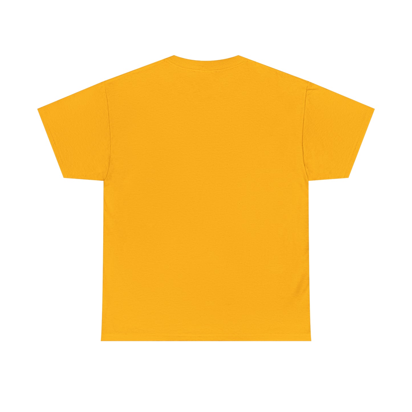 DM - MFG Unisex Heavy Cotton Tee