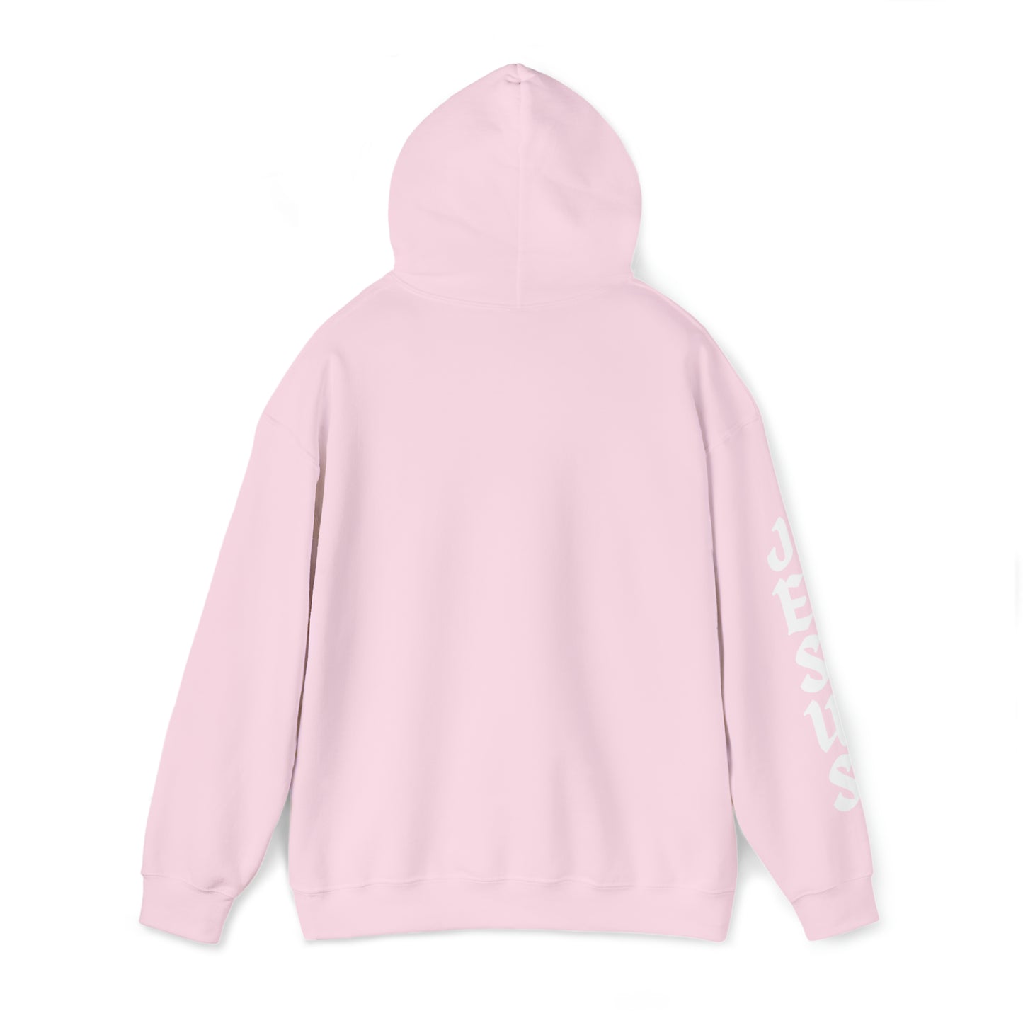 DM - Jesus Lives D2 Unisex Hooded Sweatshirt