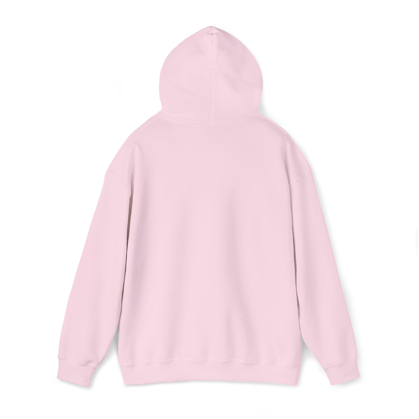 DM - King Jesus Hooded Sweatshirt