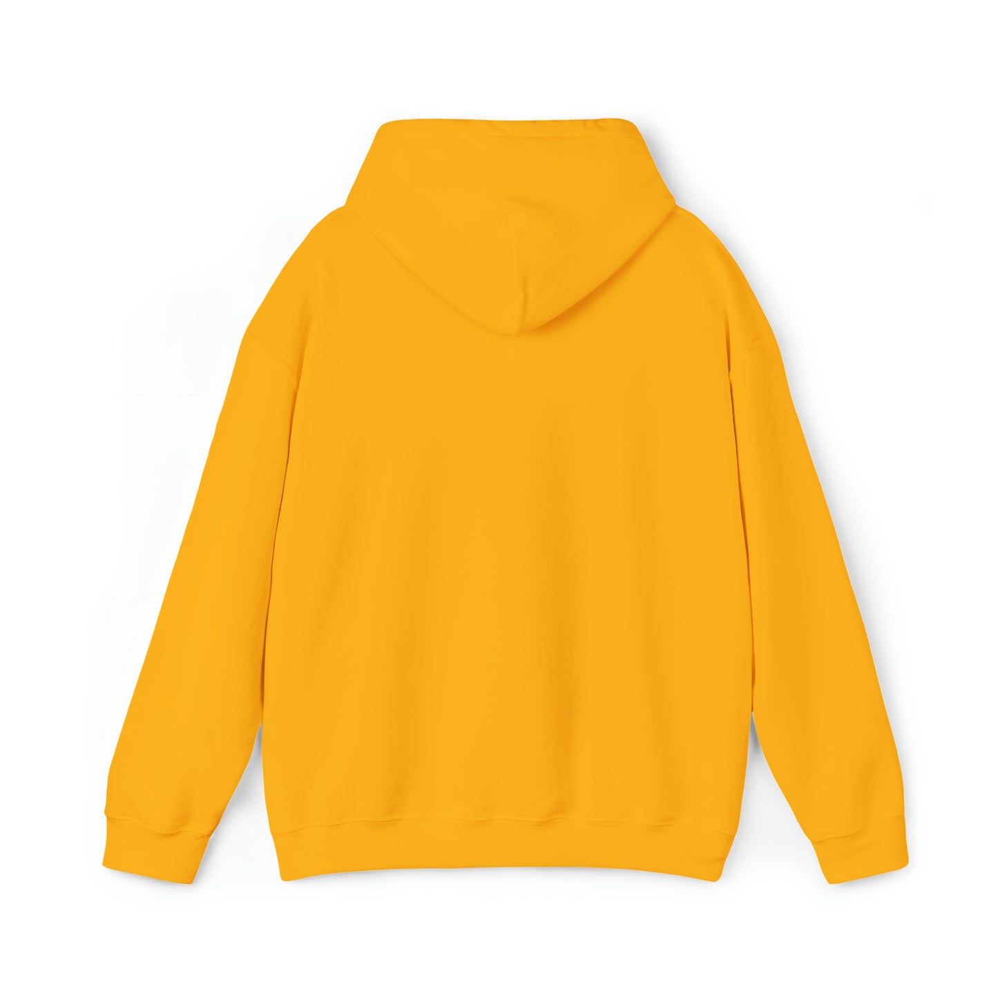 DM - King Jesus Hooded Sweatshirt