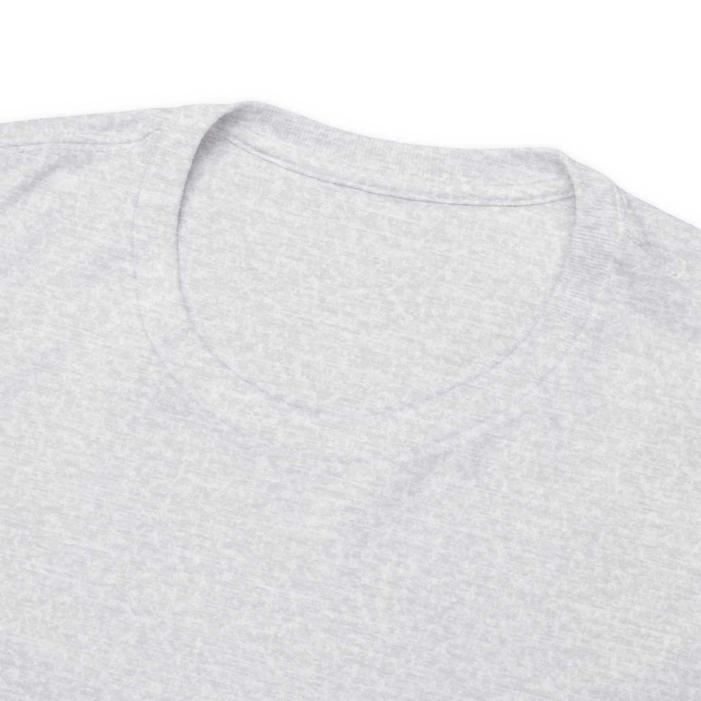 Exodus 33: 22-23 Unisex Heavy Cotton Tee